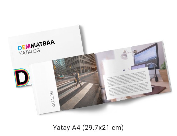 Katalog / Dergi